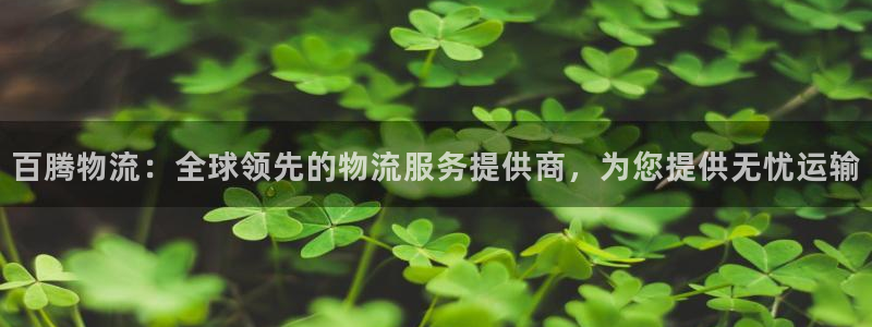 28圈绿骨头：百腾物流：全球领先的物