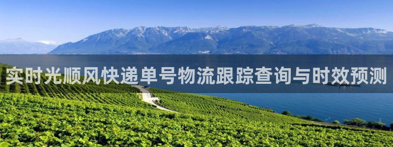 南宫28圈官网版：实时光顺风快递单号