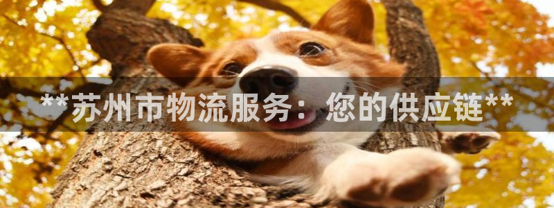 28圈正规吗?：**苏州市物流服务：
