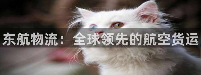 28圈正规吗