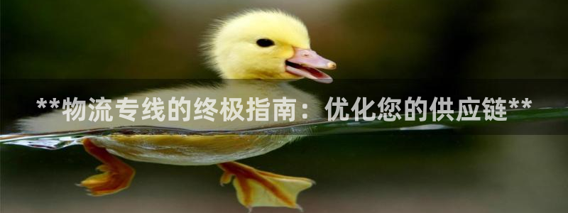 28圈圈助手