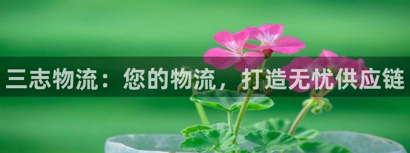 28圈可靠吗：三志物流：您的物流，打