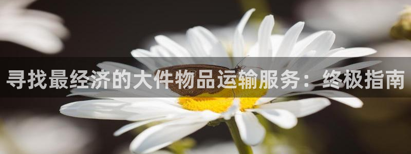 28圈h5链接