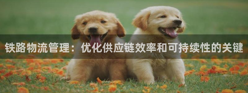 28圈.ccm南宫：铁路物流管理：优