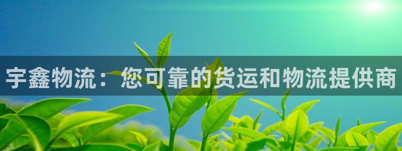 28圈模拟器在线使用