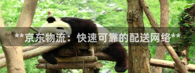 28圈下载链接是多少：**京东物流：
