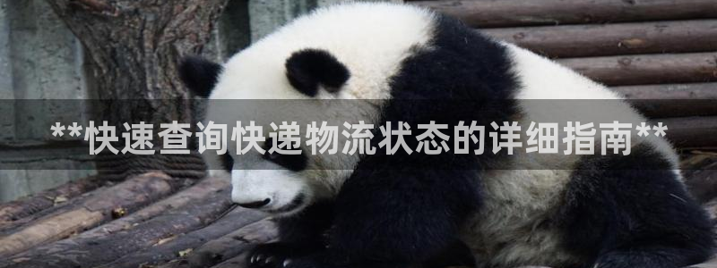 28圈女王中奖记录查询