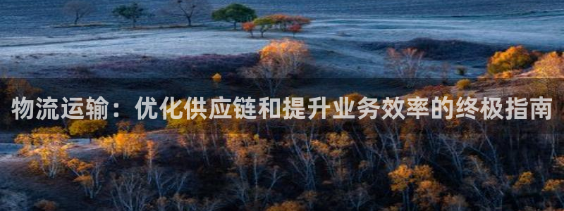 28圈软件有什么用：物流运输：优化供