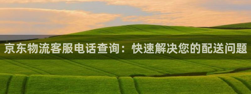 28圈反水什么时候到：京东物流客服电