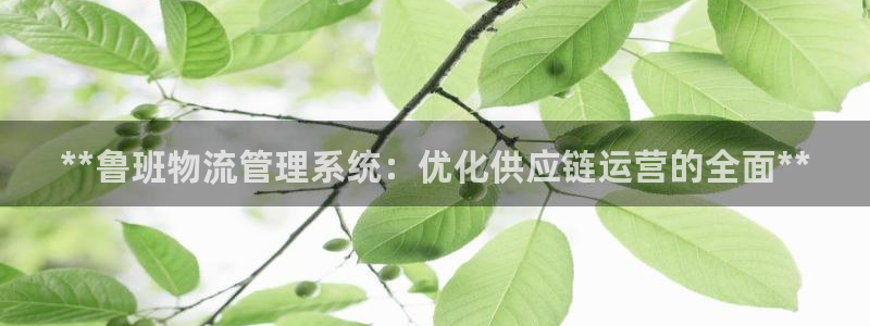 28圈cn