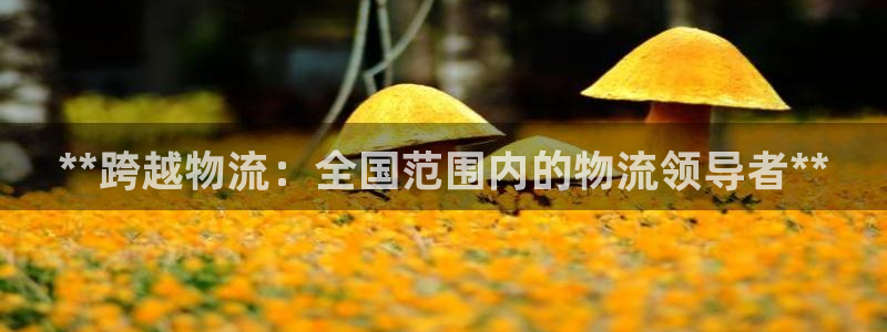 28圈大舞台