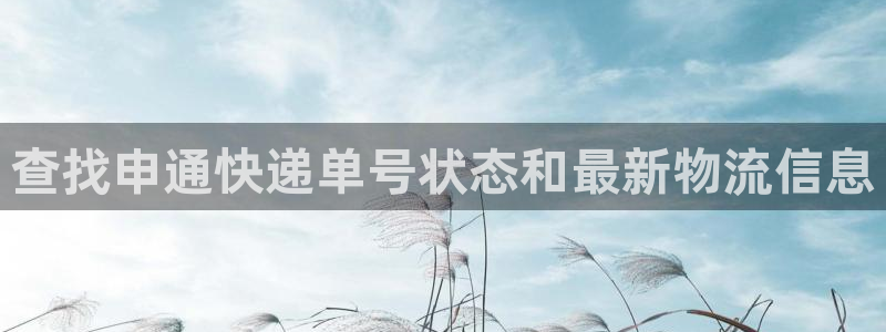 28圈赌博被抓