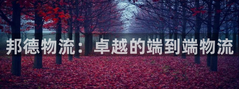 28圈注册链接：邦德物流：卓越的端到
