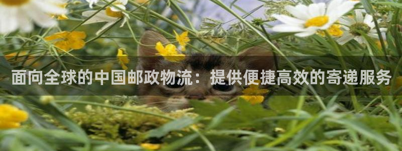 28圈免费