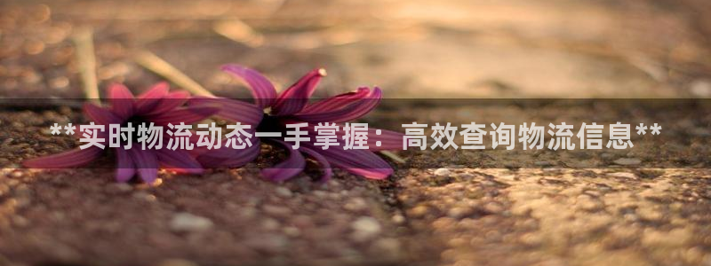 28圈注册二维码：**实时物流动态一