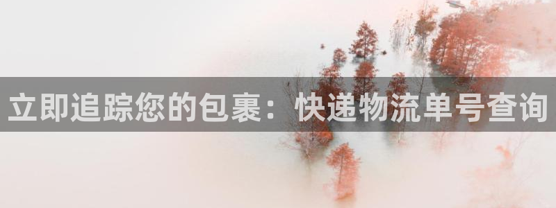 28圈玩法