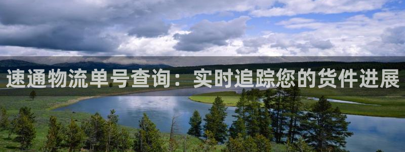 28圈加拿大真假怎么看