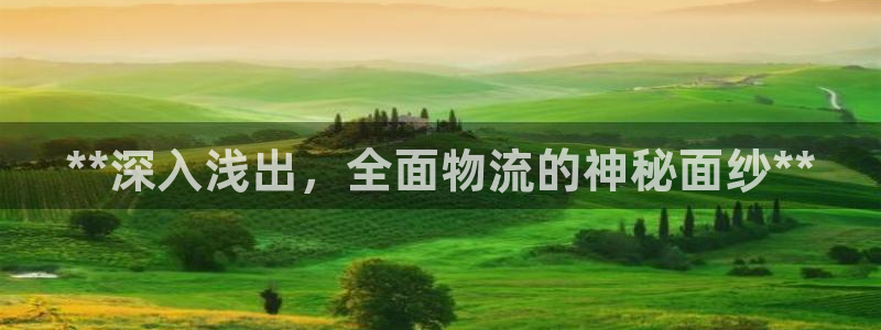 28圈.ccmo：**深入浅出，全面