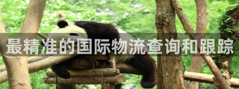 28圈麻将