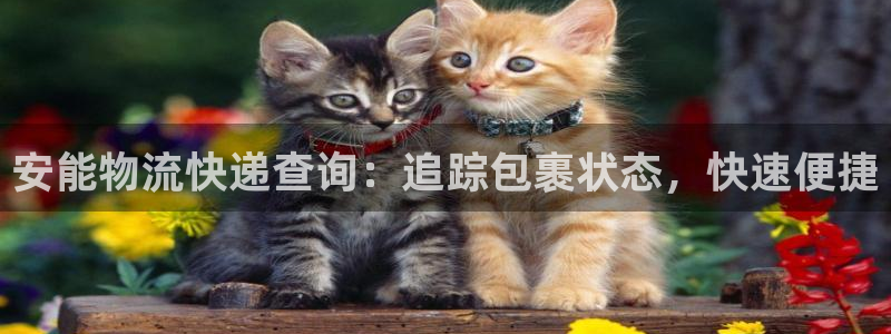 28圈网赌案件：安能物流快递查询：追