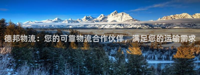28圈注册用户名是什么：德邦物流：您