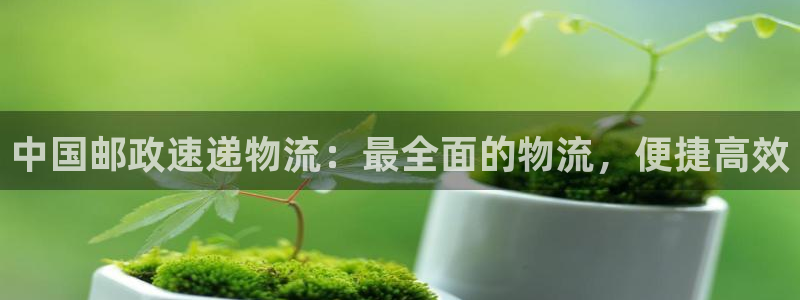 28圈官网注册：中国邮政速递物流：最
