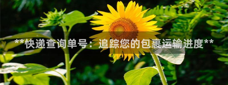 28圈充值不到账怎么回事