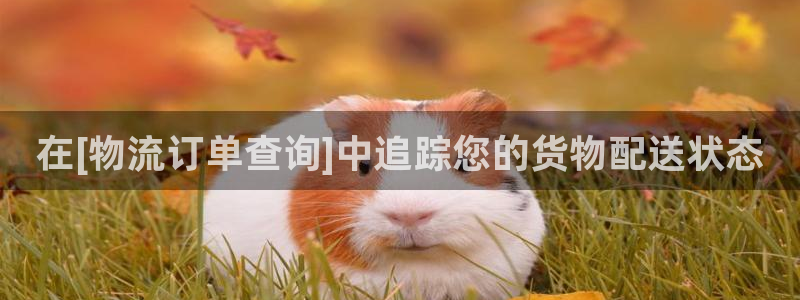 28圈软件是诈骗吗：在[物流订单查询