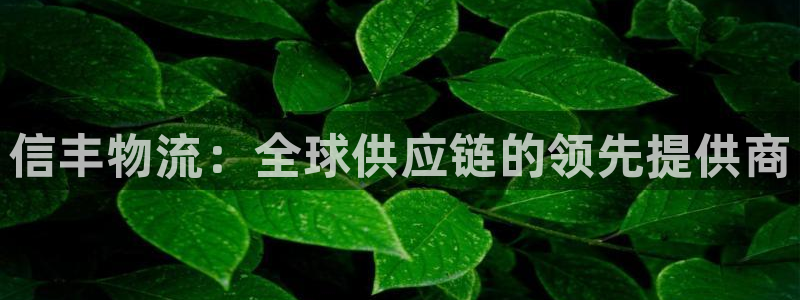 28圈软件：信丰物流：全球供应链的领