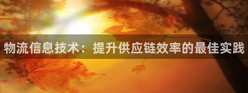 28圈p扣除是什么意思