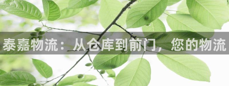 28圈p扣款什么意思