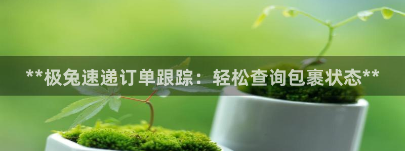28圈官网平台