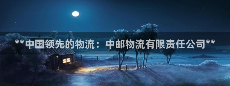 28圈登录流程：**中国领先的物流：