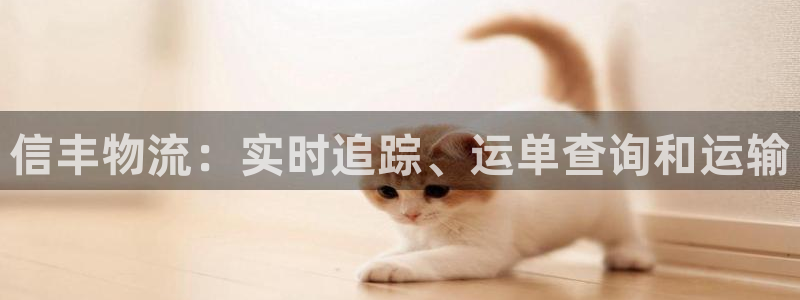 28圈注册网站链接是什么：信丰物流：