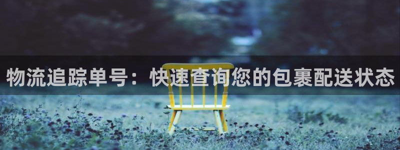 pc28圈怎么注册：物流追踪单号：快