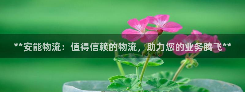 28圈ip被限制怎么解决