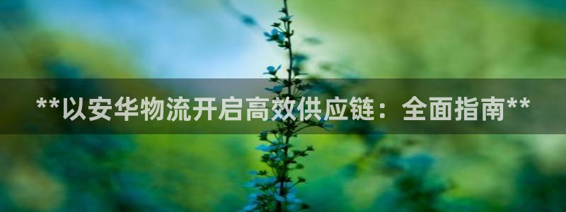 28圈在线预测：**以安华物流开启高