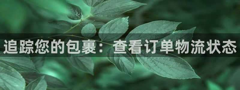 28圈加拿大真假怎么看：追踪您的包裹
