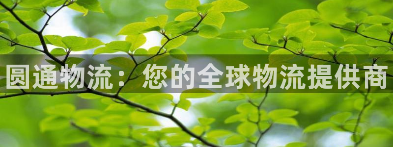28圈玩法