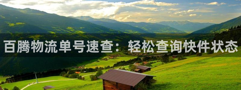 28圈注册教程：百腾物流单号速查：轻