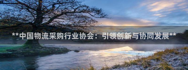 28圈是什么是赌博吗?