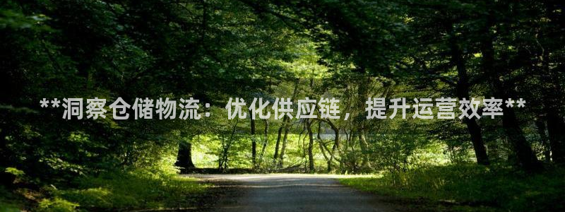28圈登陆网：**洞察仓储物流：优化