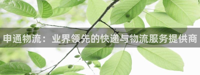 28圈初始密码在哪里修改的