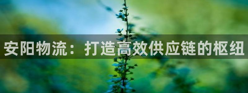 28圈能提现吗：安阳物流：打造高效供