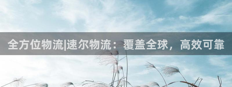 28圈注册步骤：全方位物流|速尔物流