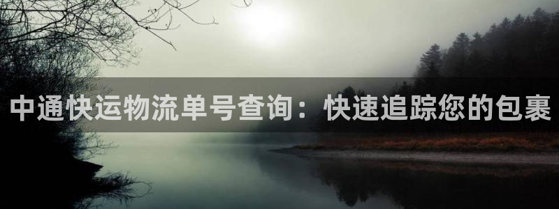 28圈官方网站是多少：中通快运物流单