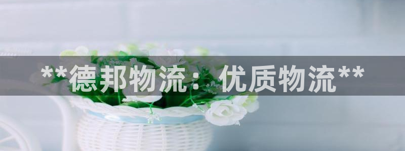 28圈充值为什么充不了