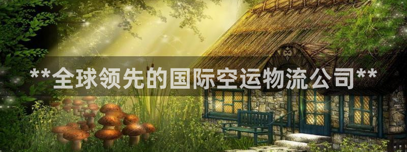 28圈开奖预测
