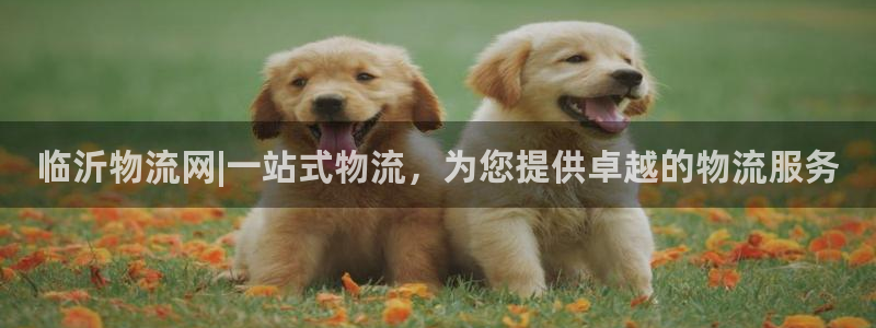 28圈注册网站链接是什么：临沂物流网