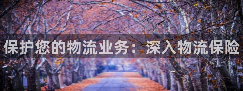 28圈.ccmo：保护您的物流业务：